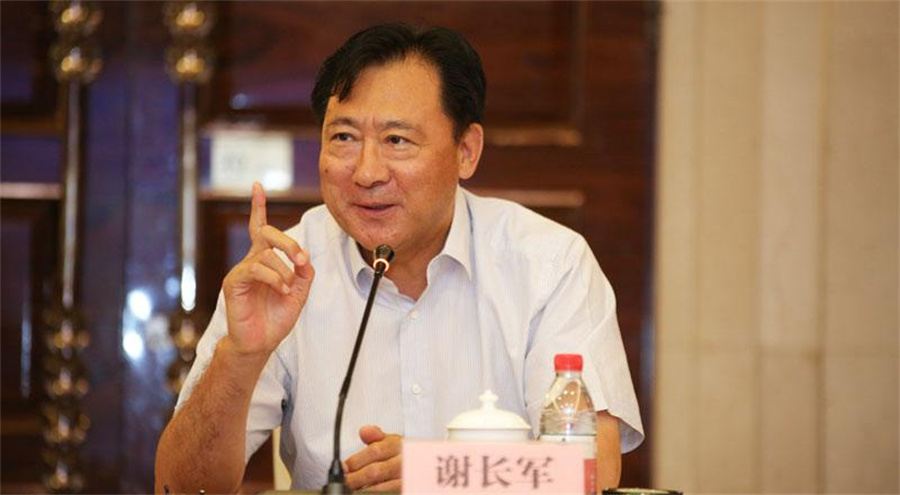 不久,谢长军担任源电力总经理.